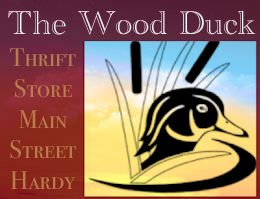 The Wood Duck
